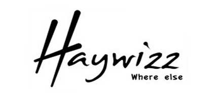best wispot solutions Haywizz
